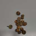 Ciieeo Crafts Vases Natural Acorns Bulk Real Rustic Acorns Caps for Craft Christmas Thanksgiving Pine Cone Ornament Winter Xmas Tree Wreath Vase Filler Decoration 100PCS Ornament Bulk