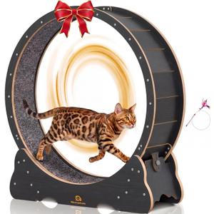 Cat Wheel, 53" XXL Large Exercise Running Wheels with Detachable Carpet for Indoor Cats