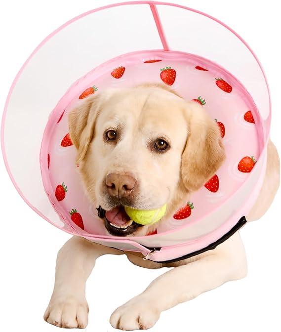 Dog Cone Collar with Snap-on Detachable Soft Liner, Lightweight Transparent Elizabethan Alternative to Stop Licking, for Spay Neuter Surgery Recovery, for Medium Large Small Dogs (Pink,XS)