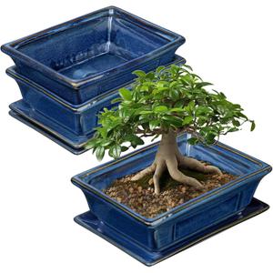 Bonsai Pots Small Shallow Succulent Planters for Live Bonsai Trees Set of 2, 7.5" Ceramic Pot for Succulents Indoor with Drainage Hole and Saucer, Outdoor Cactus Plant Bonsai Pot (Blue)