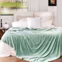 Sage Green Fleece Blanket Queen Size, Soft Cozy Blankets for Bed and Couch, Machine Washable Luxury Microfiber, Lightweight Portable Plush Blanket for Travel, Camping, Pets, Women, Adults (Queen(90"x90"))