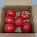 6pcs Fake Tomato Artificial Vegetables Artificial Fruits Vivid Red Tomato for Home Fruit Shop Supermarket Desk Office Restaurant Decorations Or Props