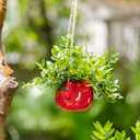 Cute Plant Pot - Funny Hanging Planter Gardening Gifts for Plant Lovers Women Mother House Warming - Smiley Red Planter for Indoor Outdoor