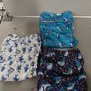 CuteBone Washable Dog Diapers Female No Tail Hole 3 Pack Reusable Doggie Period Training Pants for Docked-Tail Frenchie French Bulldog Boston Terrier Without Tail 