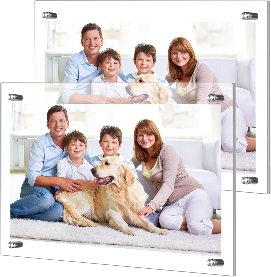 DoubleFill 2 Pack Extra Large Frameless Floating Acrylic Frame Wall Mount Magnetic Acrylic Picture Frames with Chrome Standoffs Double Panel Floating Frame for Photo Poster Display (16 x 20 Inch)