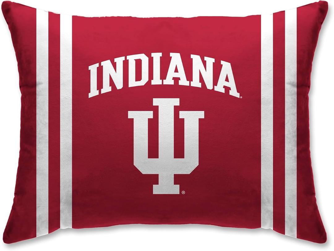 Pegasus Sports NCAA Plush Logo Bed Pillow, 20" x 26"