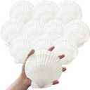 10PCS 4-5 inch Large Sea Shells White Scallop Shells for Crafts Baking Cooking Serving Food, Natural Seashells for DIY Crafts Seashell Beach Decorations for Ocean Themed Parties and Home Decor