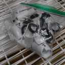 Huwena 4 Tier Mini Fridge Stand with Storage for Dorm Microwave Stand Over Mini Fridge Storage Shelf Adjustable Height Organizer for College Rooms Kitchen Pantry(White)