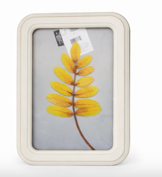 12.8in Clear Wall Sign Leaf Yellow