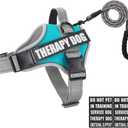 Dog Vest Harness and Leash Set, Animire Reflective Service Dog Vest in Training Dog Harness with 10 Patches, 3 Rings Emotional Support Therapy Dog Harness for Small Medium Large Dogs (Teal, S)