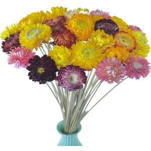 TooGet 40 Pcs Natural Dried Daisies, Dried Daisy Flowers Bouquet with Stem for Wedding Home Office Party DIY Flower Arrangement