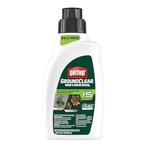 Ortho GroundClear Weed and Grass Killer2 Concentrate, Kills Dandelions, Chickweed, Crabgrass, Moss and More in Patios and Landscapes, OMRI Listed, 32 fl. oz.