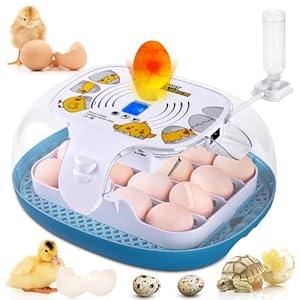 Egg Incubator, 16 Eggs Incubator with LED Display, Auto Egg-Turning, Auto Temperature Control, Egg Candler, for Hatching Chicken Goose Pigeon Quail Duck