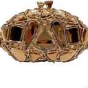 Stones Clutch Women Luxury Crystal Evening Bag Rhinestone Evening Bag for Party and Wedding Unique Evening Bags (Gold)