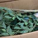 VeriNatural 7FT Artificial Ficus Tree Faux Plants Indoor with White Planter