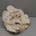 Mengduxd Inflatable Baby Seat, with Built in Air Pump, Inflatable Seat for Babies 3-36 Months for Home, Travel, Camping (Yellow, White Bear)