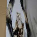 BKCEHCRS Longhorn skull,70 Inches -longhorn wall decor,Realistic Retro Bull cow skull wall decor,Faux TaxidermyHandmade Animal Cow Head Skulls for Living Room, Bedroom,Black2