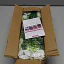 MARTINE MALL 12 Bundles Look Real Artificial Flowers for Outdoors, Realistic Fake Outdoor Flowers, UV Resistant Silk Petunia Flowers for Outside Faux Flowers Plants for Outdoor Porch, White