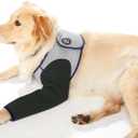 Coodeo Dog Recovery Suit, Cone Collar Alternative, Abrasion Resistant Dog Recovery Sleeve, Washable 2.5mm Thick and Waterproof, Pet Wounds Prevent Licking, Bite, Keep Dry, Grey, Small