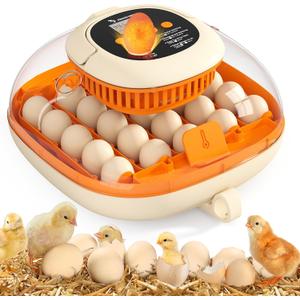 [2024 Upgrade] 25 Egg Incubator, Automatic Egg Turner with Thermometer Seat and Humidity Control, Egg Candler, 360 View with Clear Window, Incubators for Hatching Chicks (Sunlit Orange)
