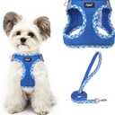 PUPTECK Dog Harness and Leash Set for Small Medium Dogs No Pull Step-in Soft Mesh Puppy Cat Vest Harnesses Reflective at Night, Upgraded New Blue XS (XS(CHEST 13"-14.5", 3-9 lbs))