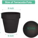8 Inch Black Terracotta & Clay Pots with Saucer, 2 Pack