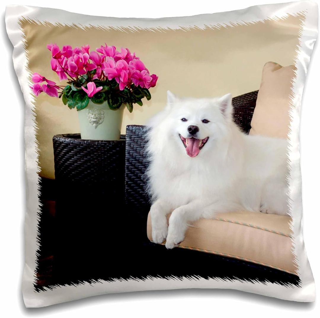 3D Rose American Eskimo Lying on Patio Couch Pillow Case, 16" x 16"