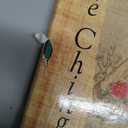 The Illustrated Tao Te Ching