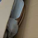 Baby Swings for Infants, Monamii Baby Swing, Infant Swing with 5 Speeds, 10 Lullabies, Electric Swing for Baby, Indoor & Outdoor Use (Beige)