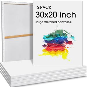 Sherr 6 Pcs 30 x 20 Inch Large Canvas for Painting Cotton Stretched Canvas Blank White Canvases Triple Primed Painting Profile Blank Canvases for Watercolor Acrylics Oil Painting