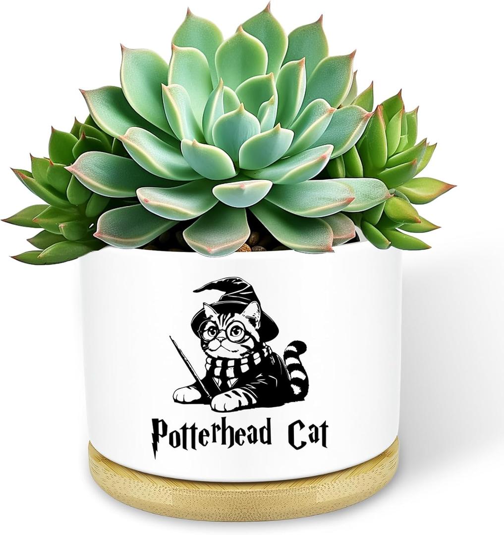 Funny Magical Cat Ceramic Succulent Cactus Flower Plant Pots with Bamboo Tray, 3.5 Inches Window Garden Cute Cat Planter Pot for Home Desk Decor Planter (No Plants)
