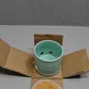 ONEMORE Garlic Keeper for Counter, Garlic Holder Countertop Storage Container, Garlic Saver Keeper with Lid, Ceramic Garlic Jar for Kitchen, Mint Green