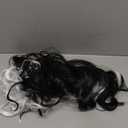 Akkya Black White Bob Wig with Bangs for Cruella Deville Short Wavy Colored Synthetic Hair for Women Party Costume(12inch,Black White)