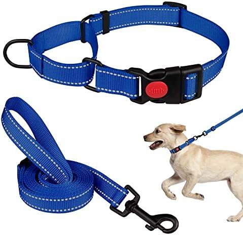 Martingale Dog Collar and Leash Set Martingale Collars for Dogs Reflective Martingale Collar for Dogs(Blue&S)