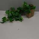 LOYWREE Small Fake Hanging Plant Artificial Potted Plants for Indoor Outdoor Aesthetic - 39in Realistic Faux Hanging Pothos with Ivy Vine for Shelf Decor in Home Office Gardens Greenery (Black Pot)