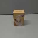 Soft 3-in-1 Silisone Spray Brush, Upgraded for Shedding, Cleaning and Spa Massage, Hair Removal, Best Water Steam Brush for indoor Long or Short Haired Cat and Dog (White, Handle)