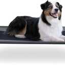 K&H Pet Products Outdoor Elevated Dog Cot, Breathable Cooling Elevated Cot Hammock Pet Bed for Large Dogs, Washable Mesh Cover, Raised Metal Frame, Collapsible, Portable - Large 42 X 30in Charcoal