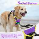 Rabbitgoo Dog Harness No Pull with 2 Leash Clips, Adjustable Soft Padded, Reflective Oxford No Choke Pet Vest with Easy Control Handle for Small Dogs, Purple & Yellow, S