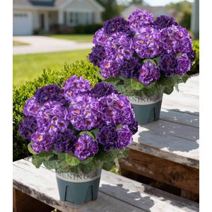 Geraniums Artificial Flowers for Outdoors, 2 Pack Potted Plants Fake Geranium Bush Realistic Fake Flowers Greenery UV Resistant Faux Flowers for Outdoor Planters Outside Gardens Front Door Indoor, Mix