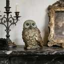 Cynkeyee Bird Statues Home Decor - Resin Bird Figurines Home Decor, Decorative Tabletop Accents, Small Owl Decor Bronze Rustic Vintage, Beautiful Animal Figurines 6.5x5.5x8.5 Inches
