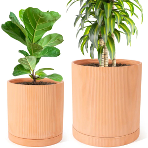 2pcs Large Terracotta Pots 10+8Inch Terracotta Plant Pot with Drainage Hole Flowerpot for Indoor Plants with Tray Outdoor Garden Planters, Modern Decorative for Home