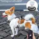 TagME No Pull Dog Harness with 2 Leash Clips,Lightweight & Visible for All-Day Walking, No Choke Pet Vest Includes AirTag Holder for Small Dogs,Black (Dark Gray)