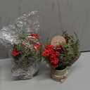 2PCS Small Christmas Tree, Tabletop Mini Xmas Tree,9" Artificial Little Potted for Christmas Decor, Suitable for Weddings, Holidays, Christmas and Other Festivals.(Red/Green) (White-01)