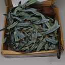 LITBLOOM Lighted Olive Garland Battery Operated with Timer 96 Fairy Lights 6FT, Artificial Greenery Twig Vine Lights for Christmas Spring Fireplace Mantle Decoration Indoor Outdoor