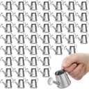 Layhit 50 Pcs Mini Watering Can Miniature Galvanized Watering Pot Garden Water Can Mini Kettle for House Crafts Garden Ornaments Gardening Landscape Party Favors, 3.35 x 1.57 x 1.97 Inches, Silver