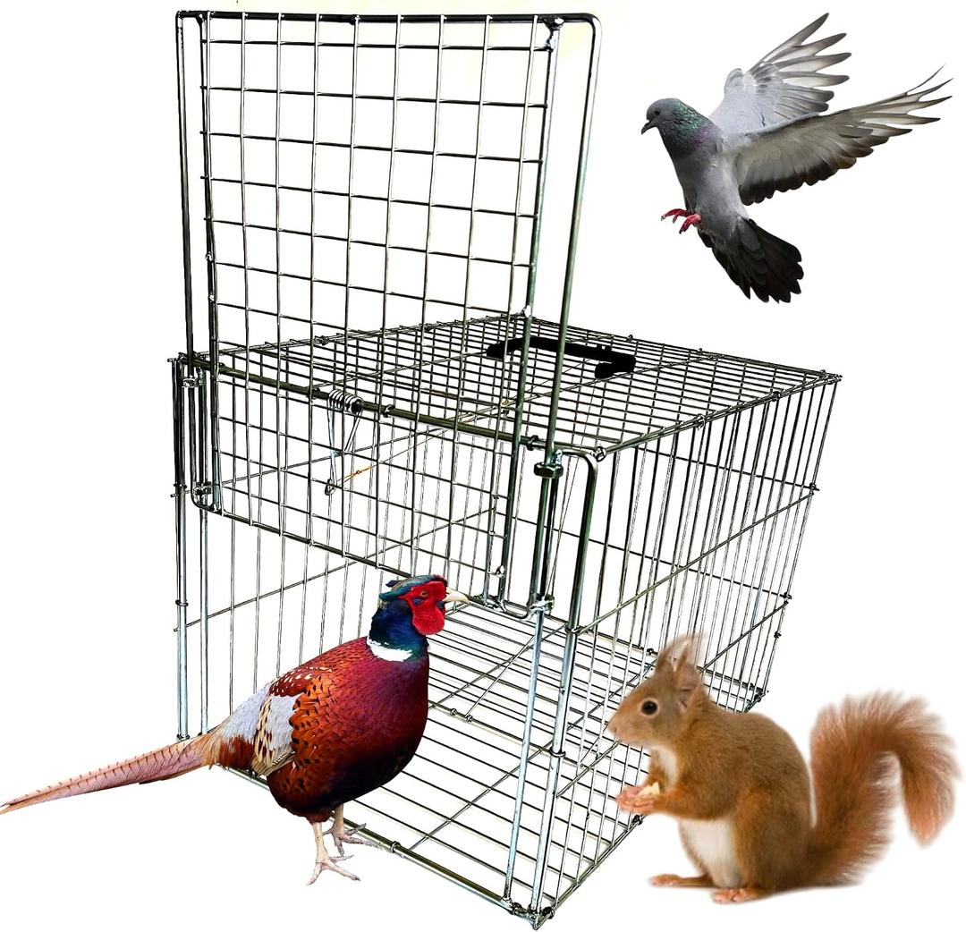 Animal Trap Cage Pigeon Chicken Squirrel Chipmunk Outside Trapping Live Small Animal Bird Trap Cage