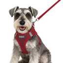 Eagloo Small Dog Harness and Leash Set, Step in Puppy Vest with Breathable Soft Mesh, Walking Reflective Pet Harness for Small Dogs, Red, S