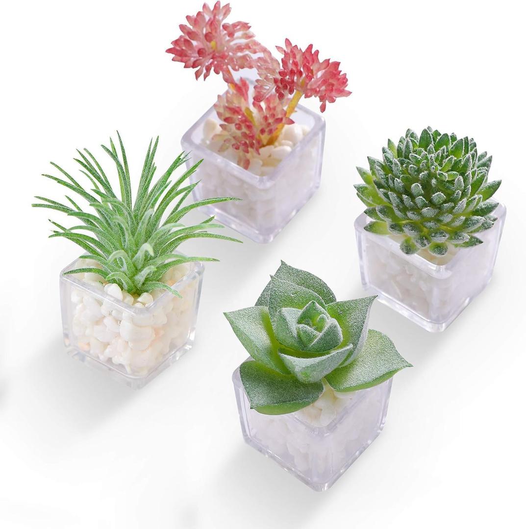 Cute Succulent Fridge Magnet, 4-Pieces Decorative 3D Plant Magnets for Refrigerator Whiteboard Locker Kitchen Office School (Set #1)