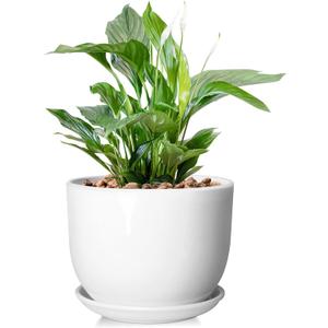 8 Inch Ceramic Planter, Plant Pots with Drainage Hole and Separable Saucer,Indoor-Outdoor Round Succulent Orchid Flower Pot,Indoor pots for Plants(Smooth White,Plant Pot only)