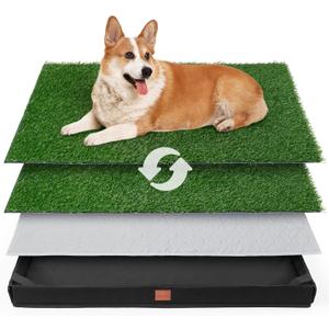 LOOBANI Dog Grass Pad with Tray, Lightweight Oxford Cloth Tray for Potty Training, 19 * 24 in